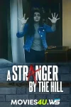 a-stranger-by-the-hill.webp.webp