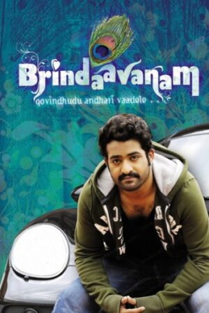 Brundavanam202010.jpg