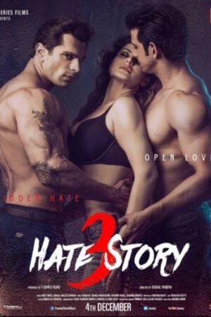 Hate20Story203202015.jpg