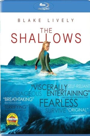 The20Shallows.jpg